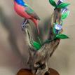 Painted Bunting