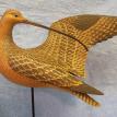 Preening Long-billed Curlew