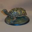 Box Turtle