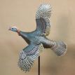 Flying Turkey