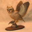 Great Horned Owl